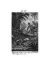Thumbnail 0081 of Collection de cent-cinquante gravures représentant et formant une suite non interrompue des voyages et aventures surprenantes de Robinson Crusoé