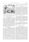 Thumbnail 0054 of St. Nicholas. December 1873