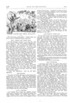 Thumbnail 0058 of St. Nicholas. July 1874