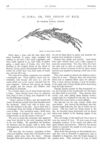 Thumbnail 0020 of St. Nicholas. November 1874