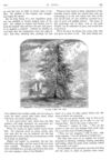 Thumbnail 0021 of St. Nicholas. November 1874