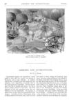 Thumbnail 0028 of St. Nicholas. November 1874
