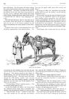 Thumbnail 0046 of St. Nicholas. November 1874