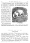 Thumbnail 0053 of St. Nicholas. November 1874