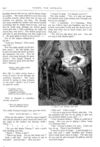 Thumbnail 0024 of St. Nicholas. January 1875