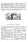 Thumbnail 0064 of St. Nicholas. January 1875