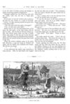 Thumbnail 0022 of St. Nicholas. February 1875