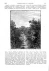 Thumbnail 0029 of St. Nicholas. February 1888