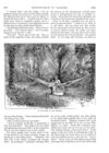 Thumbnail 0030 of St. Nicholas. February 1888