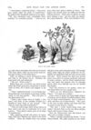 Thumbnail 0035 of St. Nicholas. February 1888