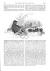 Thumbnail 0054 of St. Nicholas. September 1888