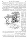 Thumbnail 0062 of St. Nicholas. October 1888