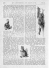 Thumbnail 0062 of St. Nicholas. February 1887