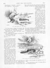 Thumbnail 0011 of St. Nicholas. May 1889