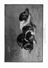 Thumbnail 0004 of St. Nicholas. March 1891