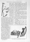 Thumbnail 0019 of St. Nicholas. March 1891