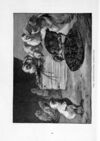 Thumbnail 0034 of St. Nicholas. March 1891