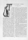Thumbnail 0054 of St. Nicholas. March 1891