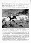Thumbnail 0064 of St. Nicholas. October 1891
