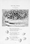 Thumbnail 0080 of St. Nicholas. February 1896