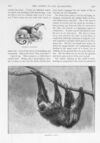 Thumbnail 0077 of St. Nicholas. March 1896