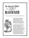 Thumbnail 0144 of The Roosevelt bears