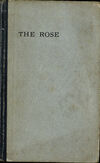 Read The rose