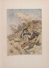 Thumbnail 0029 of The fairy tales of the Brothers Grimm