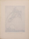 Thumbnail 0377 of The fairy tales of the Brothers Grimm