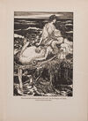 Thumbnail 0381 of The fairy tales of the Brothers Grimm