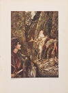 Thumbnail 0421 of The fairy tales of the Brothers Grimm