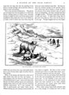 Thumbnail 0013 of Bear stories