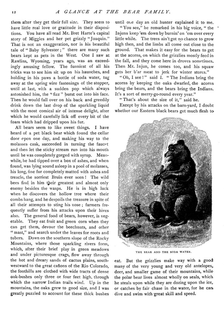 Scan 0014 of Bear stories