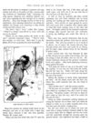 Thumbnail 0027 of Bear stories