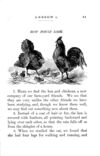 Thumbnail 0012 of Friends in feathers and fur, and other neighbors