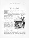 Thumbnail 0014 of Picture book of animals