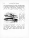 Thumbnail 0097 of Picture book of animals