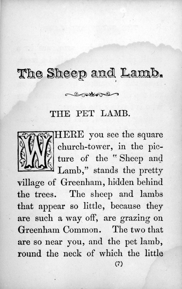 Scan 0011 of Sheep and lamb