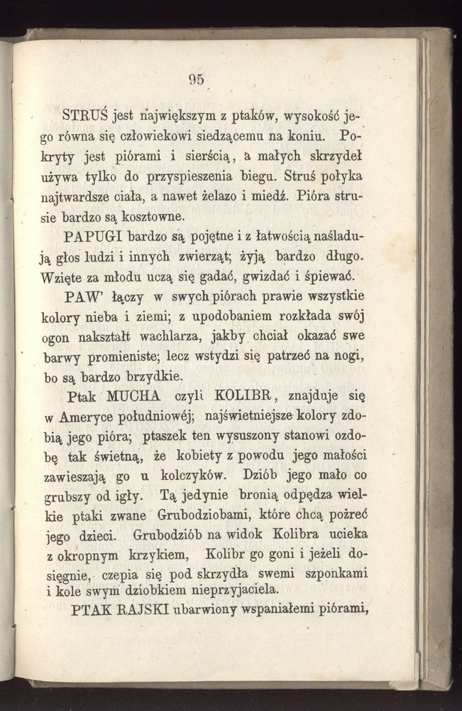 Scan 0167 of Towarzysz pilnych dzieci, czyli Początki czytania i innych wiadomości sposobem łatwym i do pojęcia młodocianego wieku zastosowanym 