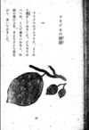 Thumbnail 0028 of 昆虫たちの国