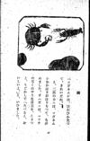 Thumbnail 0053 of 昆虫たちの国