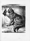 Thumbnail 0046 of Little Minnie, and other stories