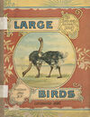 Read Large birds