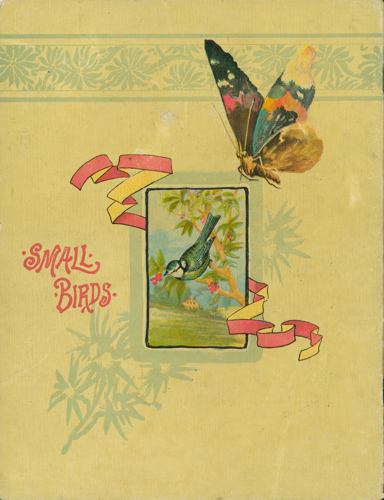 Scan 0016 of Small birds