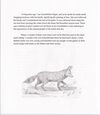 Thumbnail 0008 of Tjatjakaymatchan (Coyote)