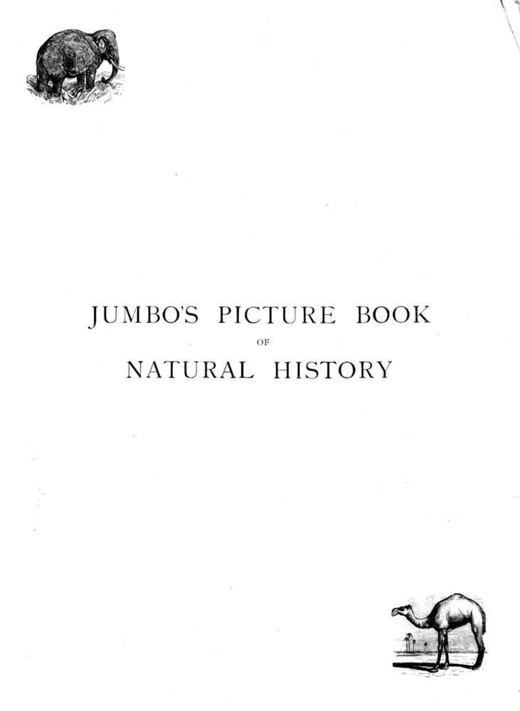 Scan 0003 of Jumbo