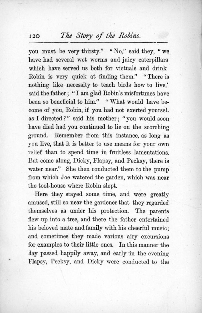 Scan 0136 of The story of the robins
