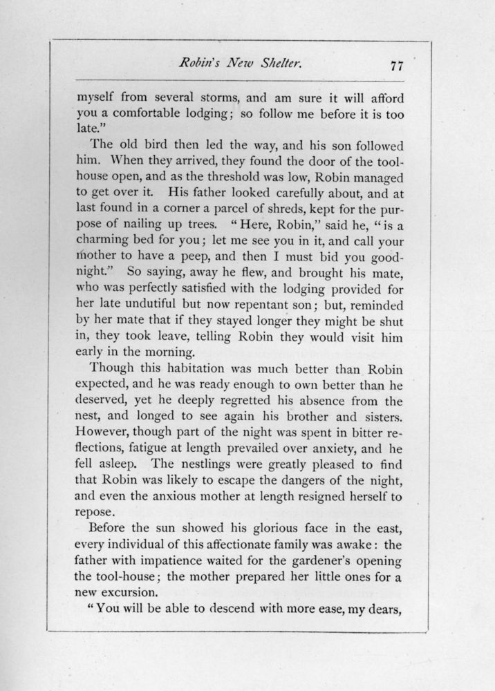 Scan 0079 of The story of the robins
