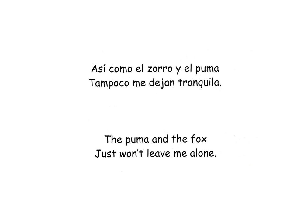 Scan 0018 of La vicuña y su magia = The vicuña and its magic