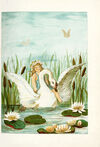 Thumbnail 0012 of Fly-away fairies
